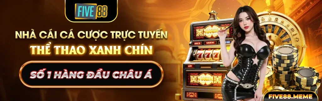 Hình ảnh tổng quan về nền tảng Bong789 Nhà Cái