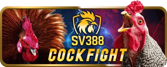 Slot Game bong789 nhà cái