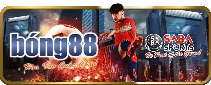 Hỗ trợ khách hàng bong789 nhà cái
